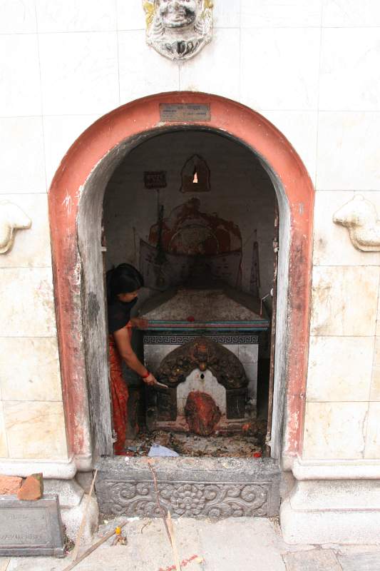 India & Nepal 2011 - 0407